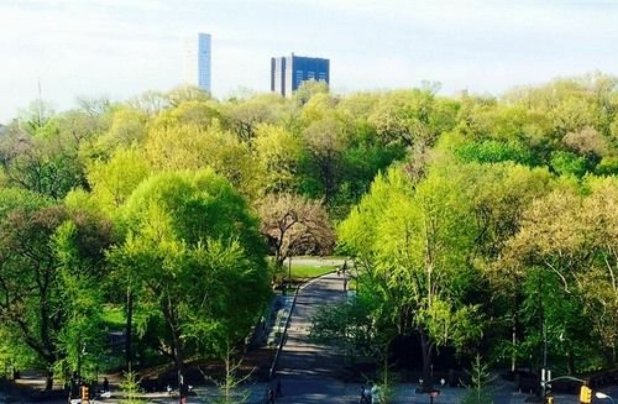 Central Park View B&B 纽约 外观 照片